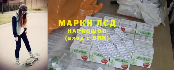 индика Беломорск