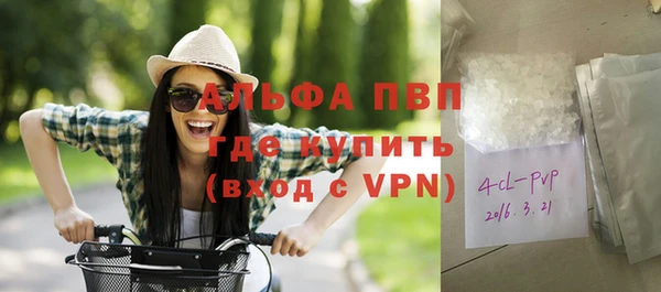 сатива Струнино