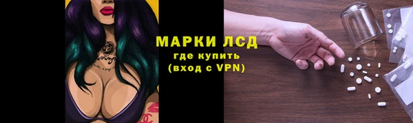 индика Беломорск