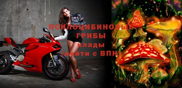 индика Беломорск