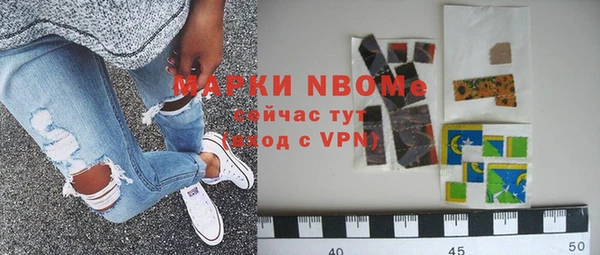 индика Беломорск