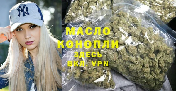 индика Беломорск