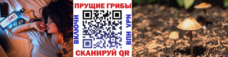 МЕГА сайт  Верхний Уфалей  Галлюциногенные грибы Magic Shrooms  нарко площадка формула  купить закладку 
